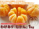 わけあり『むかん 1kg』(外皮をむいた冷凍みかん) - 八ちゃん堂
