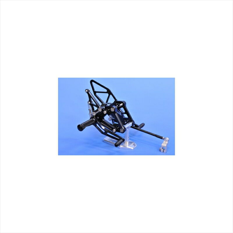 バイクパーツWOODSTOCK(ウッドストック) バックステップキット オールBLK WBS-H09-BB4548664064380CBR1100XX
