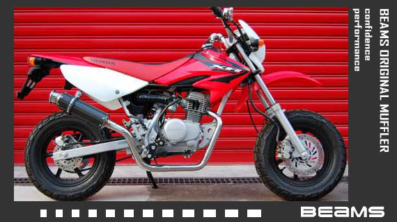 ڼʡۡڥӡॹۡڥޥե顼̵ۡBEAMSޥե顼 SS300ܥXR100 B117-08-000