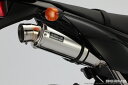 【BEAMS】【ビームス】【マフラー】【バイク用】R-EVO レーシングエヴォ ステンレスサイレンサー スリップオン D-TRACKER D-トラッカー125【B412-53-008】【送料無料！】