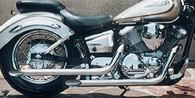 ڼʡۡEASYRIDERSۡڴָݥ5ܡ̵ۡۥ饤 DS250 ɥåѥץޥե顼()WILD EAGLE 4588