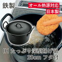 サミット工業 IHたっぷり深型揚げ鍋 20cm (フタ付) H-2601 【送料無料】鉄製 天ぷら 