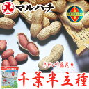 【平成28年度産】 落花生:さやいり(千葉半立:チーバくんアルミ袋)落花生 殻付き ピーナッツ ピーナツ ぴーなっつ らっかせい ラッカセイ ぴーなつ おつまみ 千葉県産 千葉 ちば 国産【02P18Jun16】【HLS_DU】【RCP】 落花生 ピーナッツ 千葉