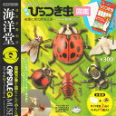 【ネコポス可】KOKUYO×海洋堂 カプセルQミュージアム 実践 ひっつき虫図鑑 ☆【ナミテントウ(19紋型)】入り5種セット★
