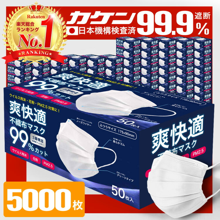 ＼今だけ！／【11/25 23:59まで限定価格！】【VFE/PFE/BFE99% 耳が痛くならない 不織布マスク 】 マスク 不織布 5000枚 50枚×100箱 不織布マスク カラー 立体 オメガプリーツ 日本 企画 大人 やわらか 秋 包装 爽快適送料無料 子供