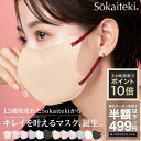＼クーポンで499円 P10倍！／24時間限り8/10 23:59まで Sokaiteki公式 deCOGAO 1箱 20枚 マスク 不織布 くちばし型 …