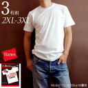 Hanes (ヘインズ） 下着 トップス09SS 3P-Tシャツ(3枚組み)コットン100% (綿100%)RED PACK KING SIZE(H2135TN-010)大きいサイズ【XXL・XXXL】【2409-MF】(**)