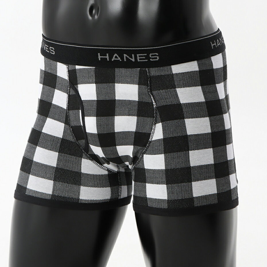   wCY Hanes  2g 1550~  Hanes {NT[u[t 22FW O[oo[C @Ci[ (HM6EG701)