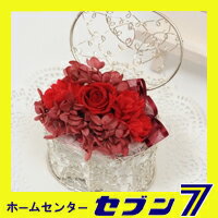 　【ポイント10倍】プリザーブド「心をこめて」【母の日】【卒業】【代引不可です】【10P23Apr09】