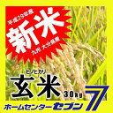 ひのひかり 玄米 30kg 送料無料 29年産 [九州 大分...