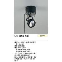 オーデリック　OE855451　エフェクティブライト(ハロゲン球30W)　サーチライト＜メーカー直送：代金引換不可＞＜送料無料＞ODELIC(オーデリック)のエフェクティブライト。