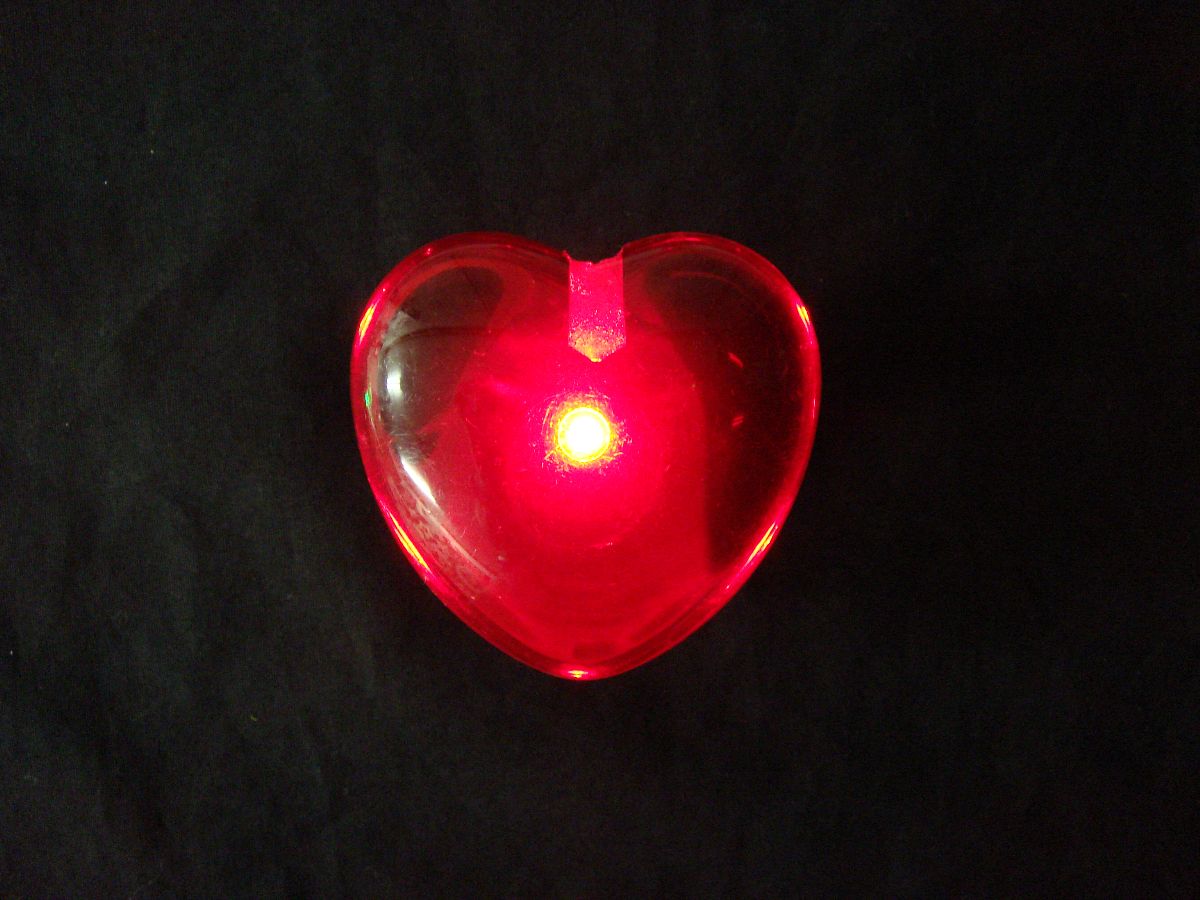 LED C~l[V̍݌