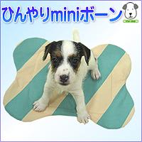 ǤΰβŬ˥!!Ӥ饯ڥݥ10ܡۤҤminiܡڥݥȥå״֡2010ǯ104AM1000ʬ2010ǯ107PM2359ʬ