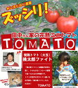 九州・大分県産 田中さん家のトマト 桃太郎 ファイ