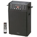 ANABAS【DVD-K100】 DVDカラオケシステム 本体のみ(マイクは別売です) ■送料無料(北海道・沖縄県・離島は送料が掛かります)