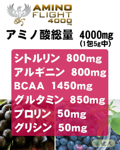 アミノフライト4000mg (AMINO FLIGHT) 5g×120本入　- ZERO BASE　[アミノ酸]