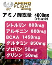 アミノフライト4000mg (AMINO FLIGHT) 5g×120本入　- ZERO BASE　[アミノ酸]