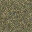 カリス セイボリー サマー カット オーガニック 100g (品番:4322) - カリス成城