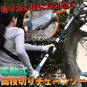 送料無料【高枝電動チェーンソー K11804】家庭用電動高枝切りチェンソー。数年ものの高所の太枝がバッサリ切れた!刃を置くだけであっという問に切れていく!