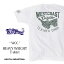 tシャツ メンズ 半袖 大きいサイズ 厚手 アメカジ 所ジョージ 世田谷ベース Daytona バイカー カットソー XLサイズ 30代 40代 コスパ アメカジ ヒース HEATH.BLUEPORT ブルーポート 横浜 大人 イタカジ 4,104円