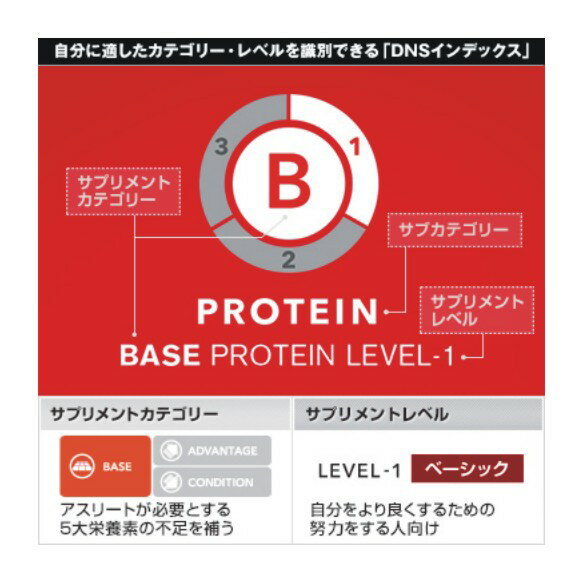 DNS　PROTEIN　WHEY100　プロテインホエイ100　抹茶風味　1000g 1kg