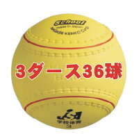 ナガセケンコー　学校体育ソフトボール検定3号(3ダース)　KS12-PUR-3Dの画像