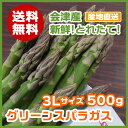 【送料無料】会津産グリーンアスパラガス3Lサイズ 500g