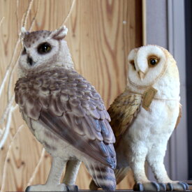 フクロウオウル貯金箱おしゃれペットバンクOwlPETBANKリアル置物