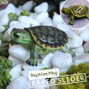 クリップホルダー レプティルスマグ RED EARED SLIDER ミドリガメ