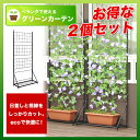 お得な2個セット【つる巻き植物のベランダ菜園に最適
