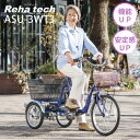 電動三輪自転車 高齢者 電動三輪車 リハテック 電動アシスト三輪自転車 三輪自転車 電動自転車 大人用 三輪 自転車 三輪車 電動 シニア電動自転車 大人用三輪車 大人 用 高齢 者 フランスベッド FranceBed シニア向け ASU-3WT3 フランスベット シニア シニア用