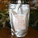 hanahenna ハナヘナシャンプー1000ml ノンシリコン天然成分由来ボタニカル成分でにおい系アプローチ 自然派シャンプー