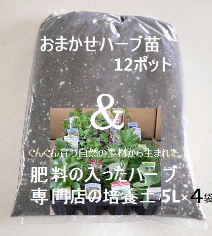 【送料無料】おまかせハーブセット＆肥料の入ったハーブ専門店の培養土5L×4袋