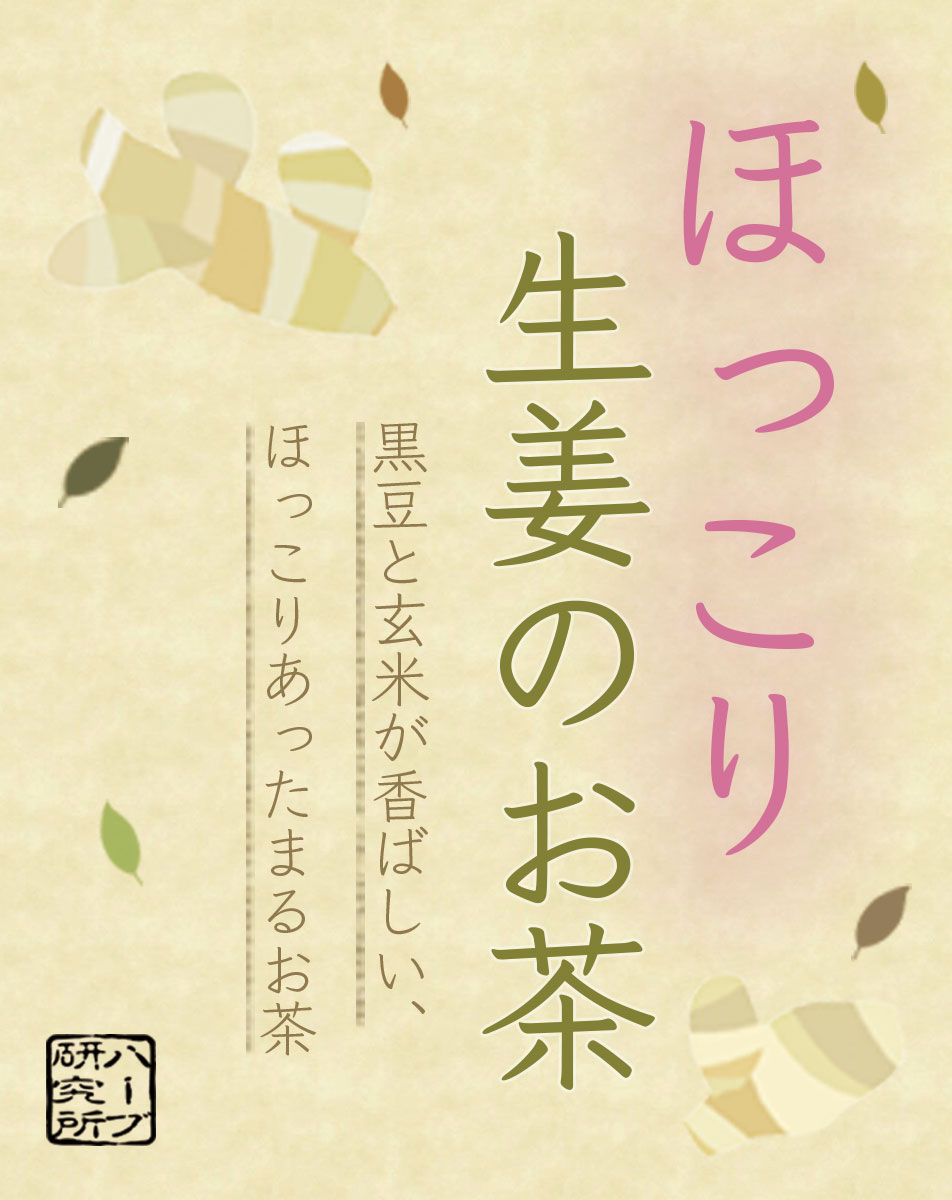 送料無料 敬老の日 ギフト しょうが茶 お買い得 3.5g 20個入×2袋で10％オフ ティーパック 冷え症 代謝アップ 中性脂肪 痩せる リバウンド 体温 ダイエット 体型維持 国産 生姜 高知 徳島県産 黒豆 丹波種 北海道産 玄米 三重県産 お茶 ノンカフェイン ノンカロリー