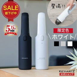 【SALE限定!!300円OFF】ハンディクリーナー ハンディ掃除機 ハンディークリーナー ハンディー掃除機 ハンディ 掃除機 コードレス ミニ掃除機 髪の毛 猫砂 車 充電式 軽量 USB充電 コンパクト 小型 おしゃれ ギフト 1年保証 ヒーローグリーン KEY+ARTZ キーアーツ【HV-22】