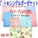 (^_-)-☆天然素材☆さらさらシングルガーゼケット 肌掛け 夏-735 【RCP】【HLS_DU】