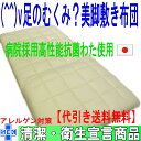 (^^)vテイジン【脚のむくみ・疲れを癒す・アレルギー対策 】シングルNANOウォシュα健康足を癒す敷布団(代引送料無料)【smtb-k】【w1】
