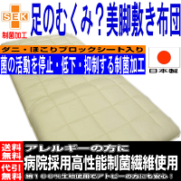 (^^)v【脚のむくみ・疲れを癒す・アレルギー対策】シングルNANOウォシュα健康足を癒す敷布団(代引送料無料)