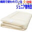 即納OK/敷布団 ジュニア 送料無料 病院採用制菌仕様 敷き布団布団 /90x190cm アレルギー対応 日本製 抗菌から制菌・防ダニ・防臭 ジュニアサイズ 洗える ドクターES-O子供用小さめ 硬質 /