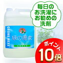 緑の魔女 ランドリー(洗濯用洗剤) 5L【あす楽対応】【液体洗剤】【洗濯洗剤】【RCP】【532P17Sep16】