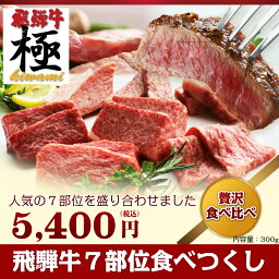 ◆贅沢◆◆飛騨牛7部位食べつくし◆豪華焼肉アソートセット【稀少部位入】【あす楽】1名?2名用300g