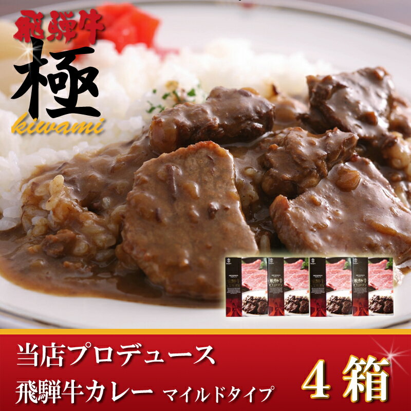 5つ星ホテル直営　産直　飛騨牛ビーフカレー4箱セット（マイルドタイプ）2ヶ月限定で送料無料【tk0216f】 