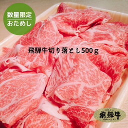 飛騨牛 切り落とし 500g (冷凍) 送料無料 国産牛 牛肉 黒毛<strong>和牛</strong> ブランド牛 お肉 A5 A4