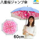 ¥¸¥ã¥ó¥×»± Ȭ½Åºù ¥Í¥¤¥Ó¡¼ 60cm¡ß8Ëܹü ¡ÚLIEBEN-0481¡Û ²ÖÊÁ ¤«¤µ/±«»±/¥ì¥Ç¥£¡¼¥¹/¥®¥Õ¥È naga
