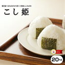 訳あり米【1年米使用】九州産100%お米マイスター厳選!当店オリジナル米【こし姫】白米20kg【こしひかりから獲れる訳あり米】【米 20kg 送料無料】【お米 20kg 送料無料】お米/米/コメ/米 20kg/こめ/おこめ/kome/こしひかり/コシヒカリ