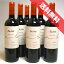 【送料無料】テラ・ノブレ メルロー レゼルヴァ 6本セット Terra Noble Merlot Reserva チリワイン/マウル/赤ワイン/ミディアムボディ/750ml【チリワインセット】【まとめ買い 業務用にも!】