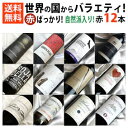 ■□送料無料□■ 赤ワインばっかり12本セット フランス、イタリア、スペインにニューワールド【赤ワインセット 12本】【オンライン飲み会】