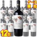 デル・スール メルロー レセルバ 12本セット・ケース販売 【ビカール】 チリワイン/赤ワイン/フルボディ/辛口/750ml×12【ケース売り】【業務用】【モトックス】