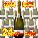 【送料無料】カペッタ アスティ・スプマンテ ハーフボトル 375ml 24本セット・ケース販売 イタリアワイン/375ml×24【まとめ買い】【ケース売り】【セット】【スパークリングワイン】【シャンパン】【メルシャン】【キリン】
