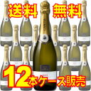 【送料無料】カペッタ アスティ・スプマンテ 750ml 12本セット・ケース販売 イタリアワイン/750ml×12【まとめ買い】【ケース売り】【セット】【スパークリングワイン】【シャンパン】【メルシャン】【キリン】
